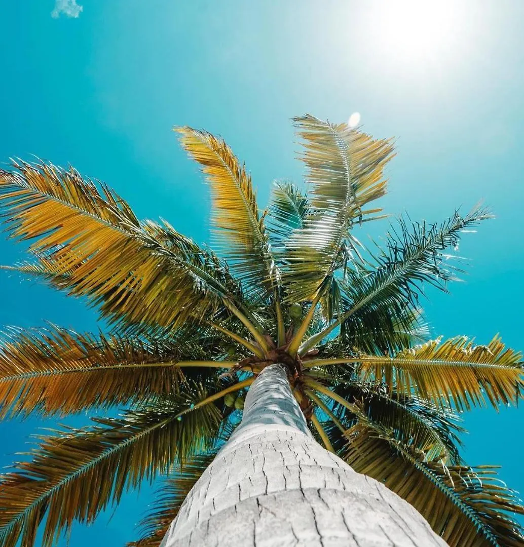 Posada In The Caribbean Franshua ベッド・アンド・ブレックファスト