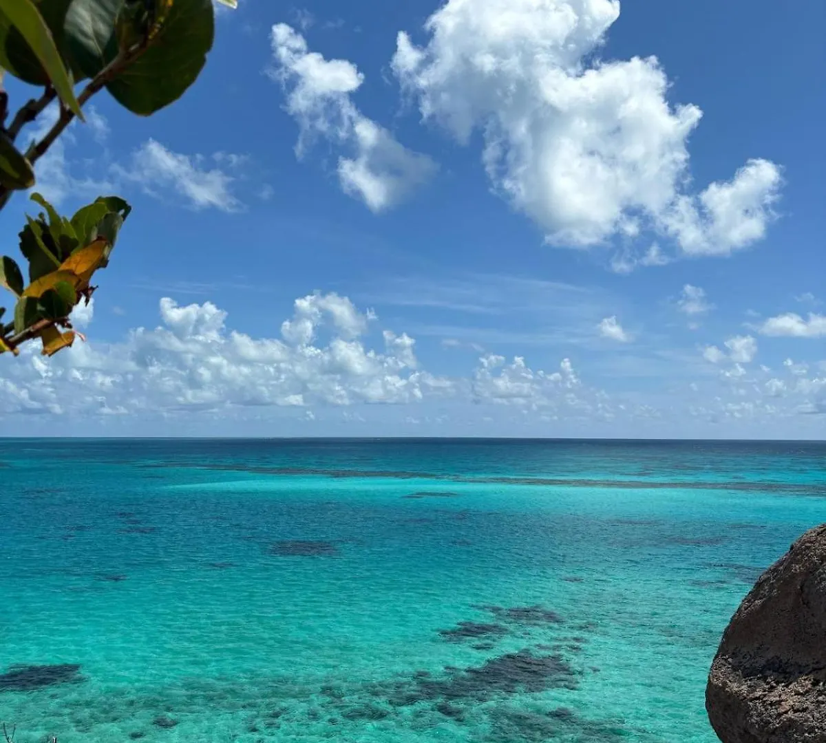 Posada In The Caribbean Franshua ベッド・アンド・ブレックファスト